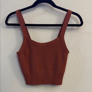Everlane Brown Ribbed Crop Tank Top